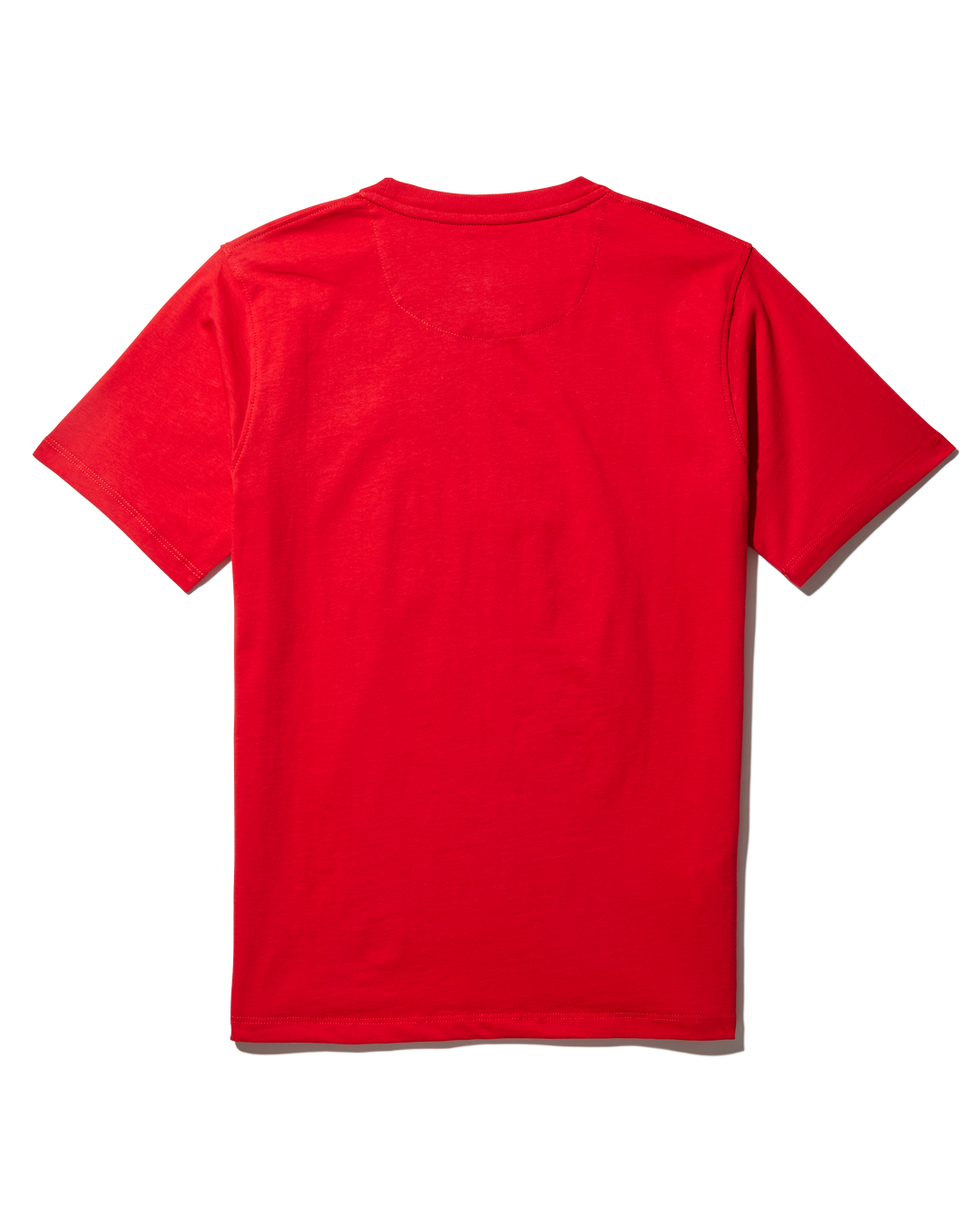 YOUTH ANATOMY BEAR T-SHIRT RED